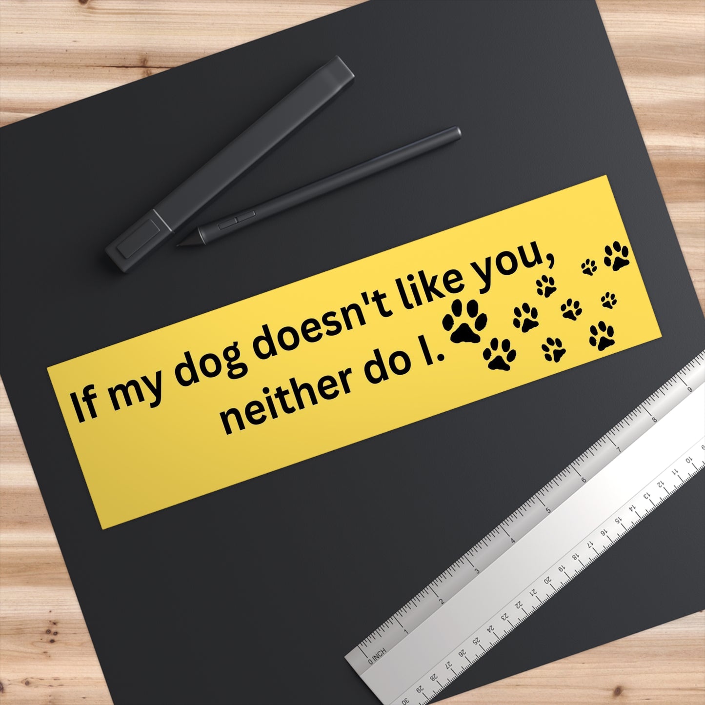 If my dog doesn't like you